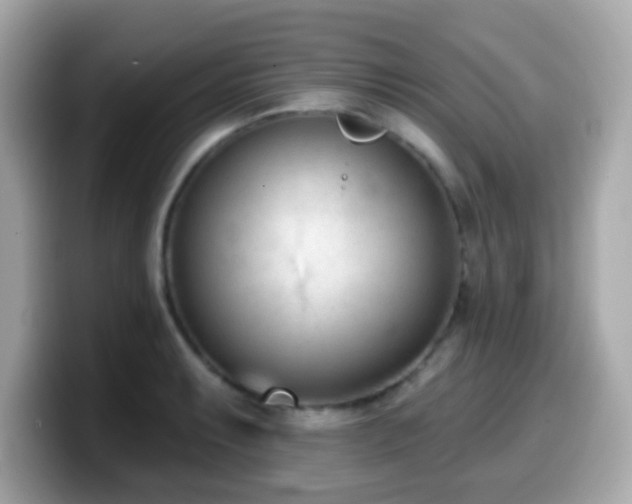 X0000099971087200805231400