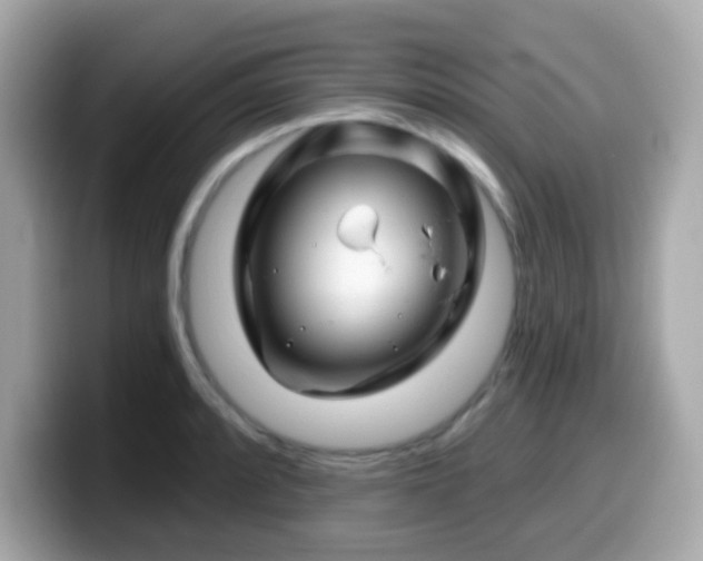 X0000099971088200805231400