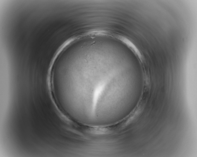 X0000099971090200805231400