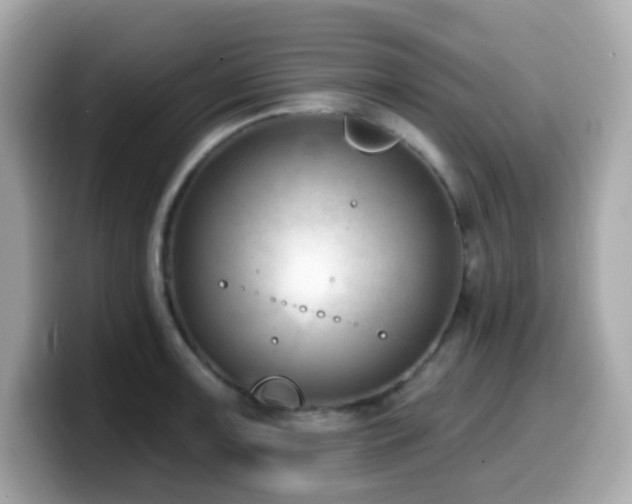 X0000099971091200805231400