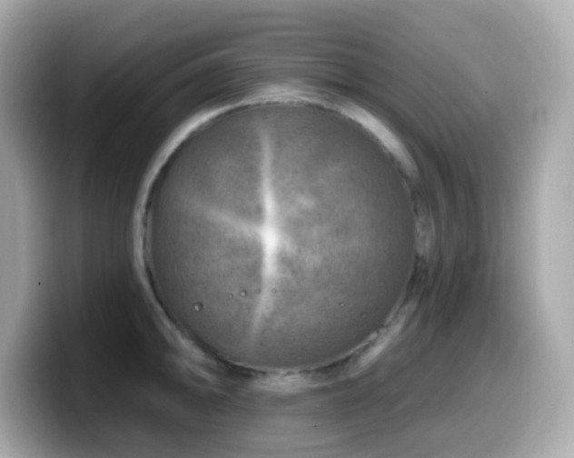 X0000099971094200805231400