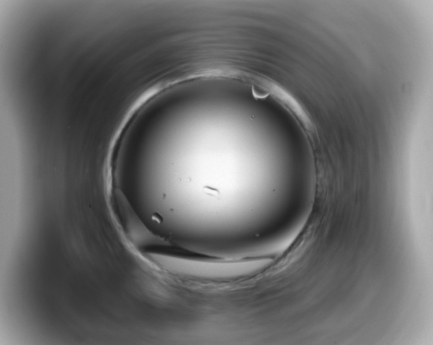 X0000099971095200805231400