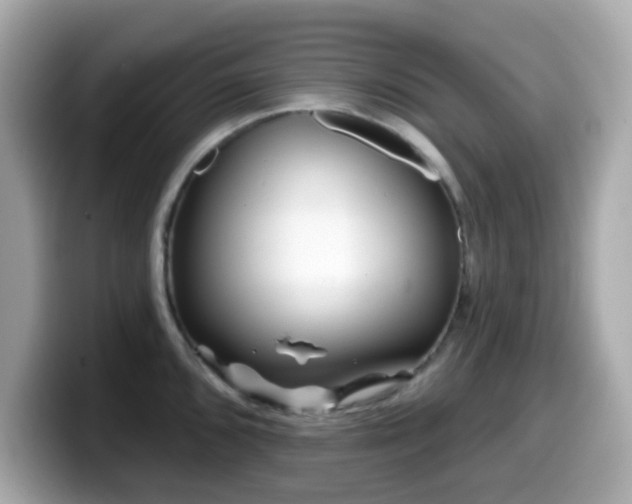 X0000099971096200805231400