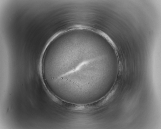 X0000099971098200805231400