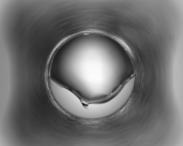 X0000099971100200805231400