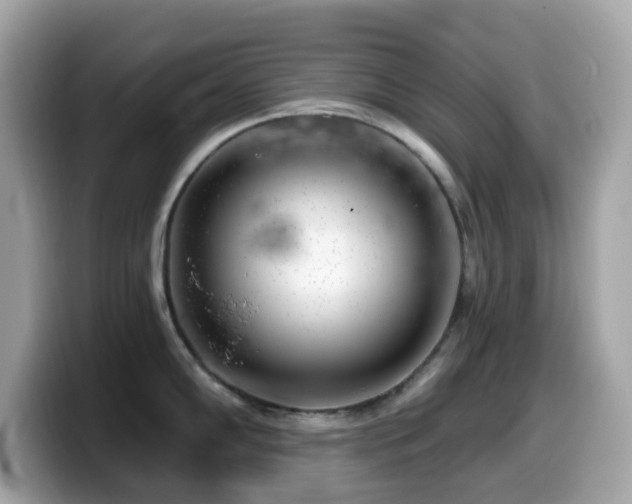 X0000099971102200805231400