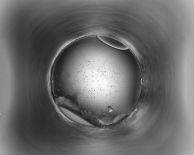 X0000099971103200805231400