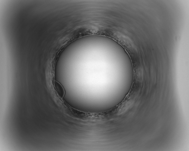 X0000099971105200805231359