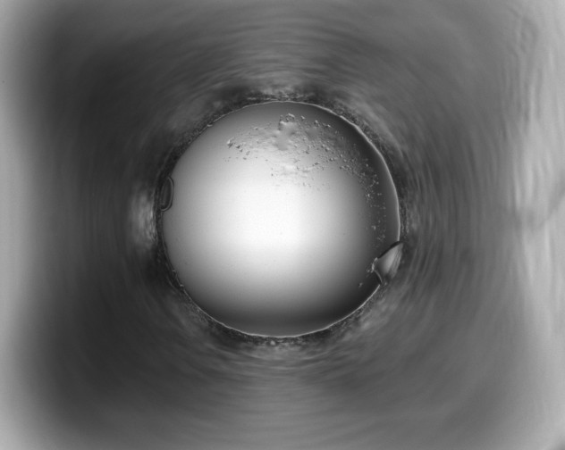X0000099971106200805231359