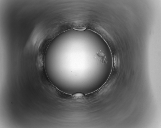 X0000099971107200805231359