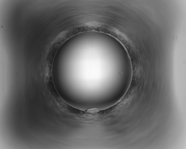X0000099971110200805231359
