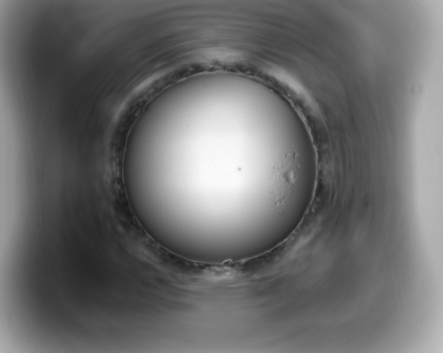X0000099971112200805231359