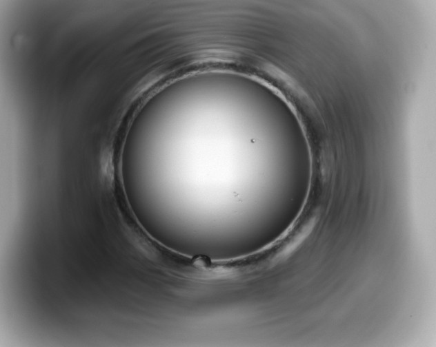X0000099971113200805231359