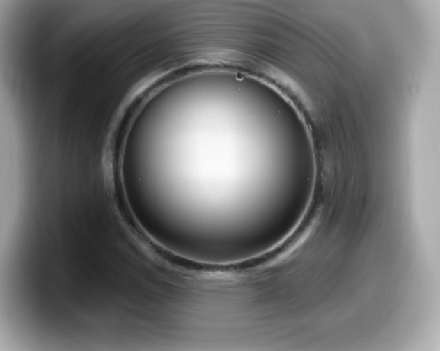 X0000099971114200805231359