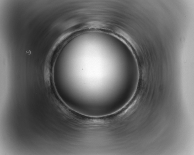 X0000099971115200805231359