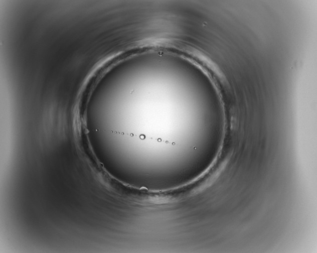 X0000099971117200805231359
