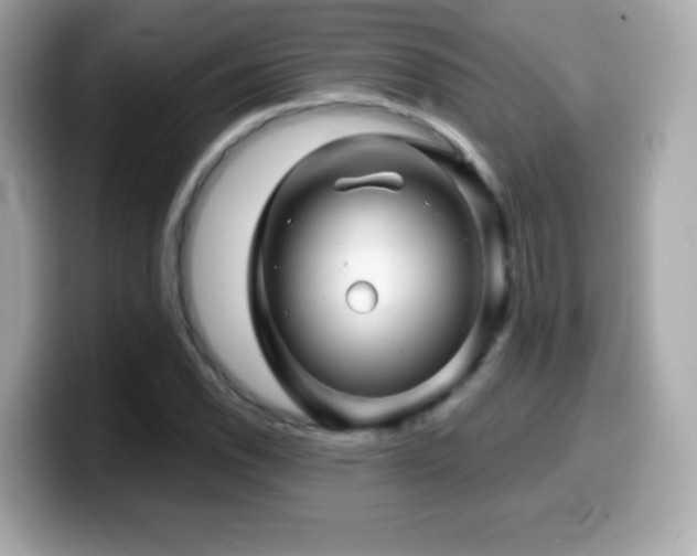 X0000099971118200805231359