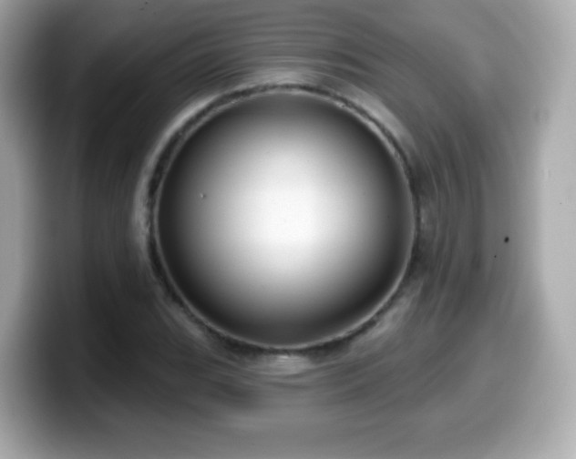 X0000099971119200805231359