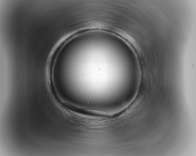 X0000099971120200805231359