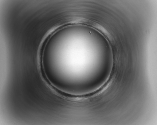 X0000099971122200805231359