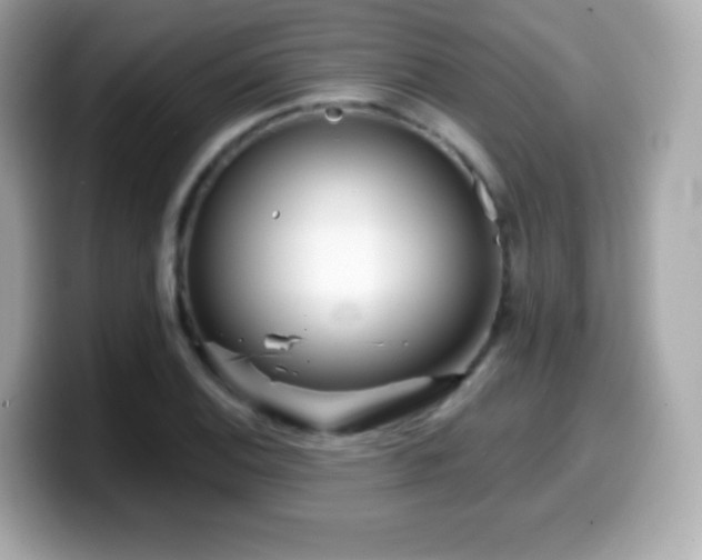 X0000099971124200805231359