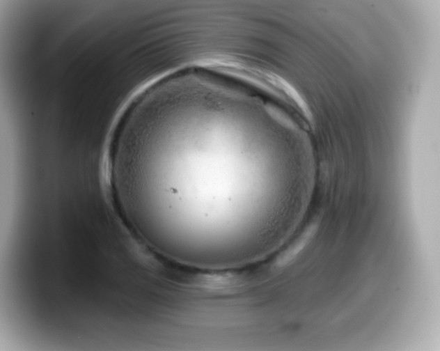X0000099971125200805231359