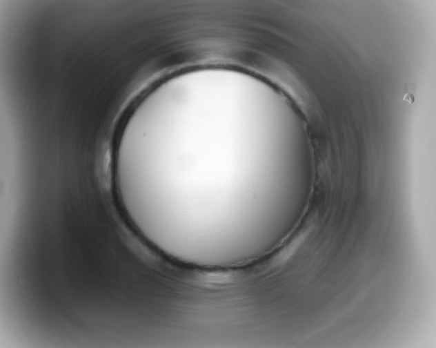 X0000099971126200805231359