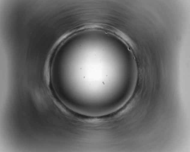 X0000099971127200805231359