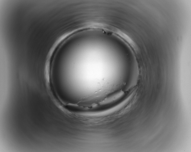 X0000099971128200805231359