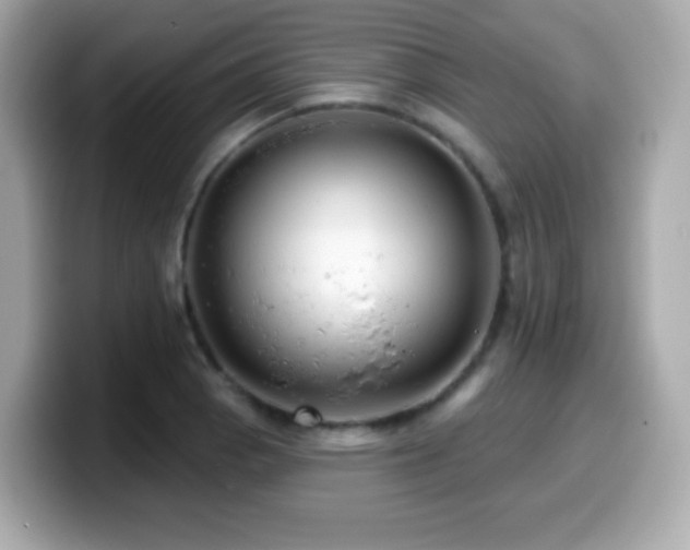X0000099971129200805231359