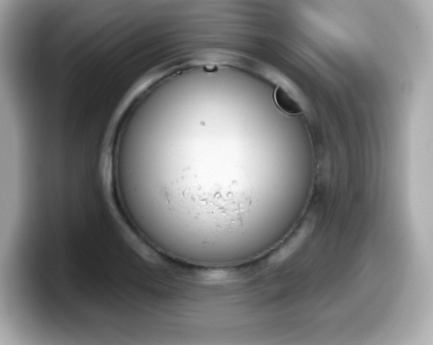 X0000099971130200805231359