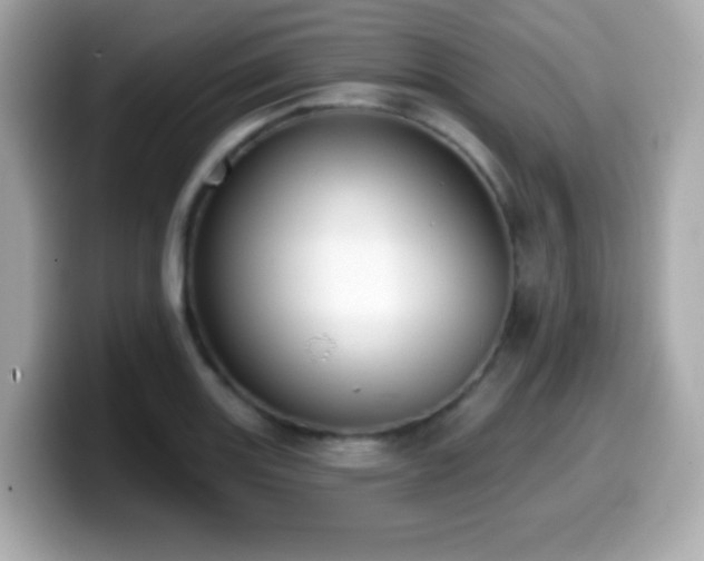 X0000099971131200805231359