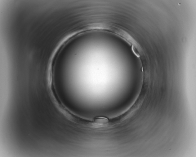 X0000099971132200805231359