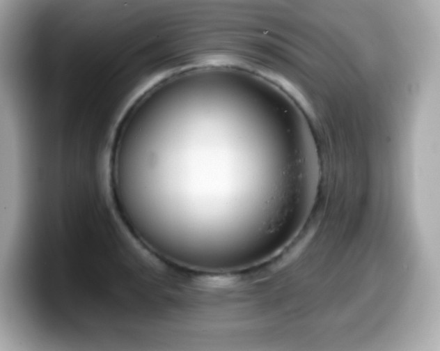 X0000099971134200805231359