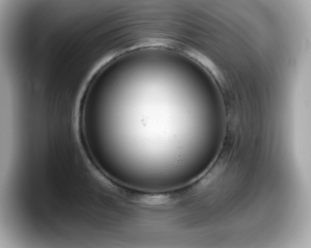 X0000099971135200805231400