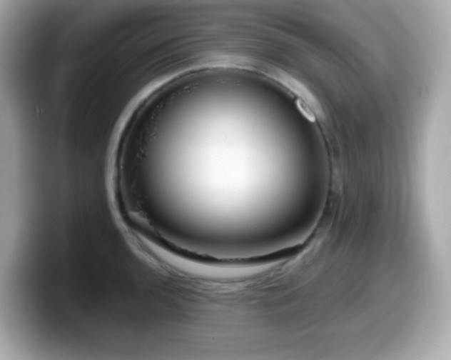 X0000099971136200805231400