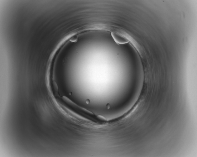 X0000099971139200805231400