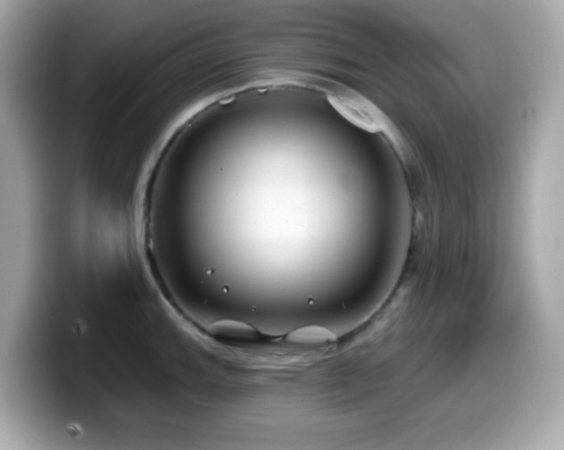 X0000099971143200805231400