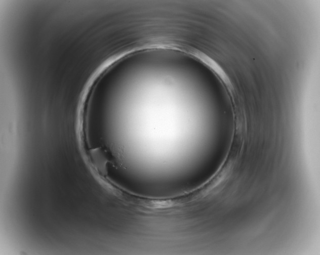 X0000099971144200805231400