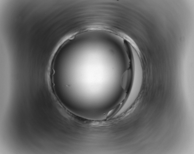 X0000099971146200805231400