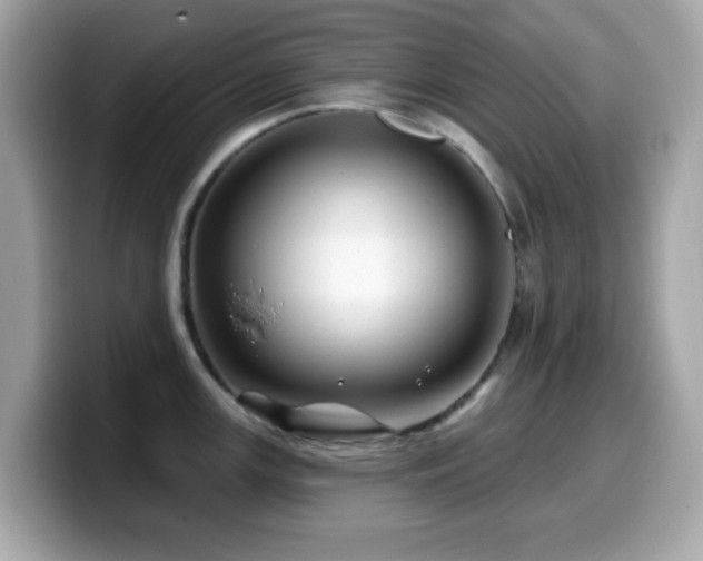 X0000099971147200805231400