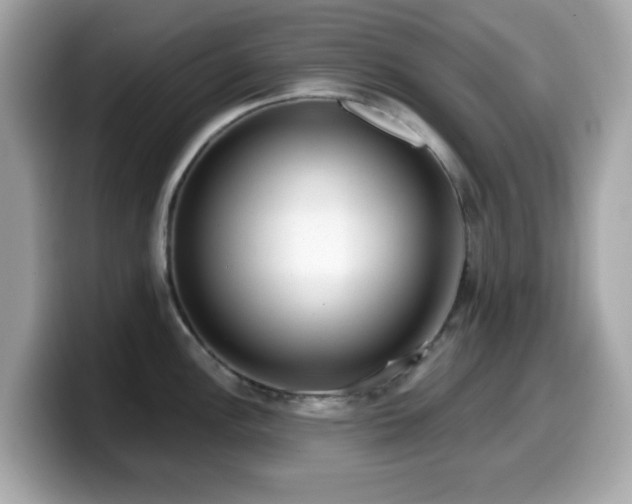X0000099971148200805231400
