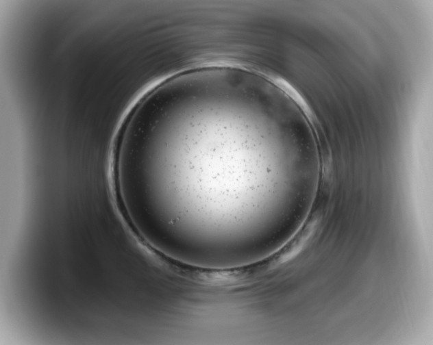 X0000099971149200805231400