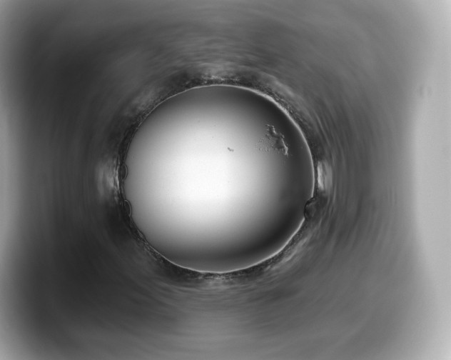 X0000099971155200805231359