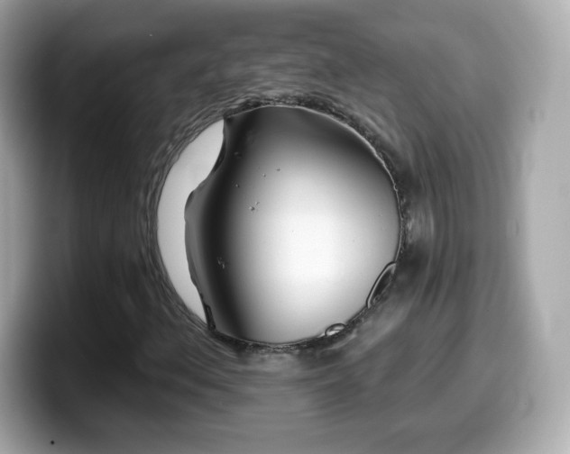X0000099971156200805231359