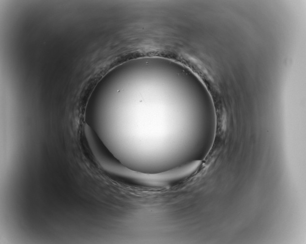 X0000099971157200805231359