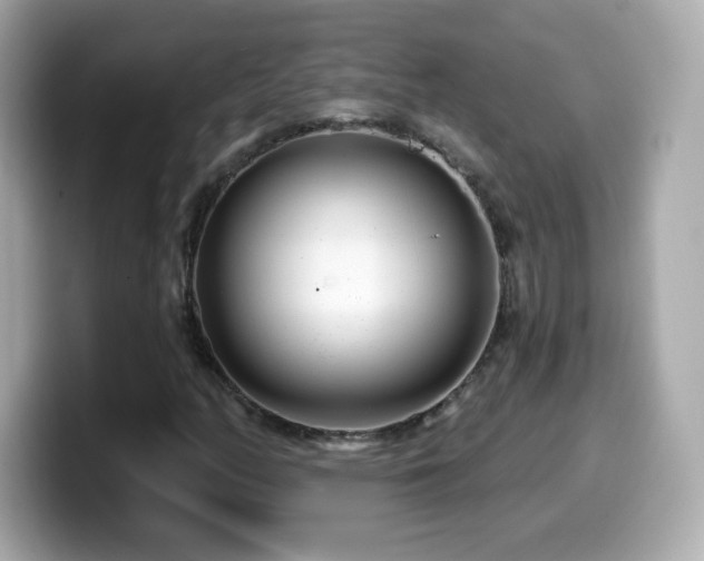 X0000099971158200805231359