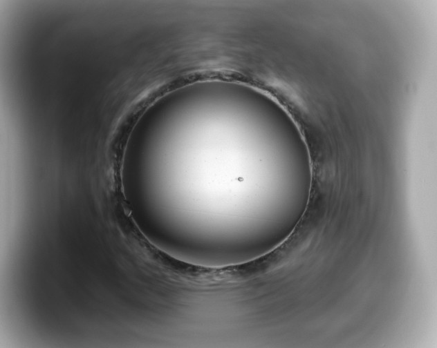 X0000099971159200805231359
