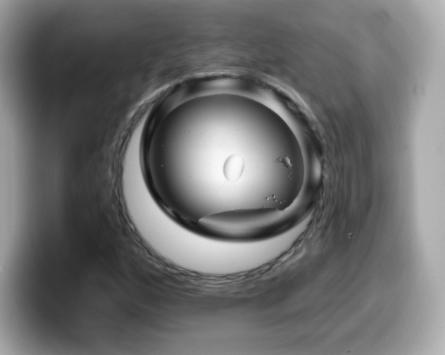 X0000099971160200805231359