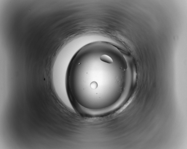 X0000099971161200805231359